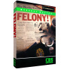 Mystery Master: Felony!