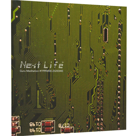 Next Life: Guru Meditation