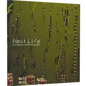 Next Life: Guru Meditation