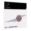 5,25" Disketten DD "EZI International"