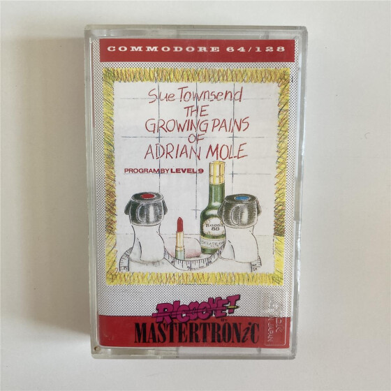 The Growing Pains of Adrian Mole - C64
